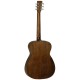 TANGLEWOOD FOLK CROSSROAD ELECTRIFICADA